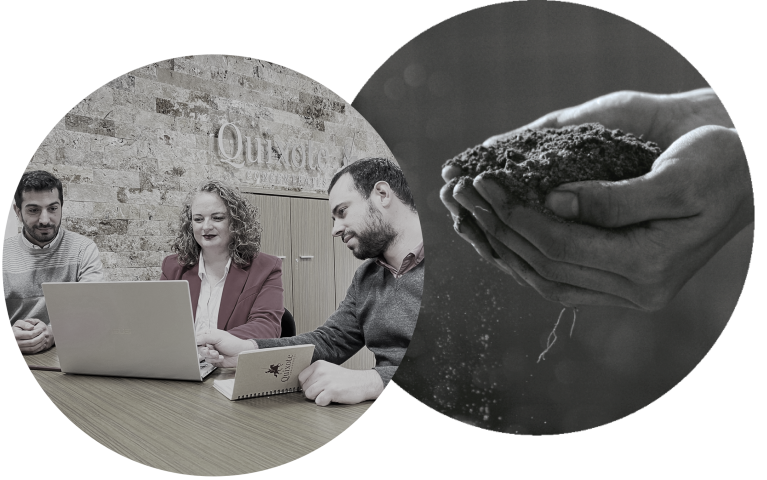 Team Quixote (Pequeña)