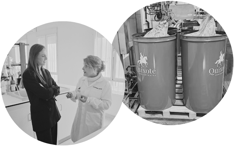 Sobre nosotros - Quixote Concentrates2